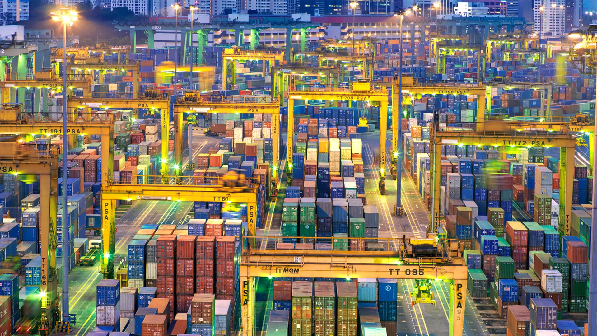 Cignon V3 - NewBridge