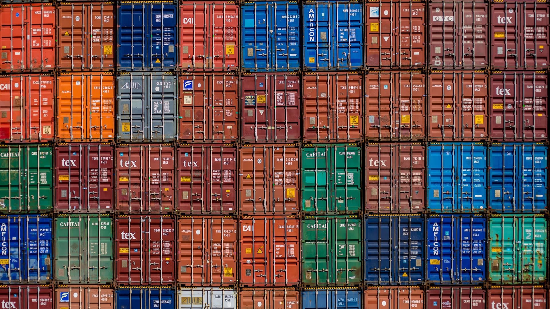 Cignon V3 - NewBridge